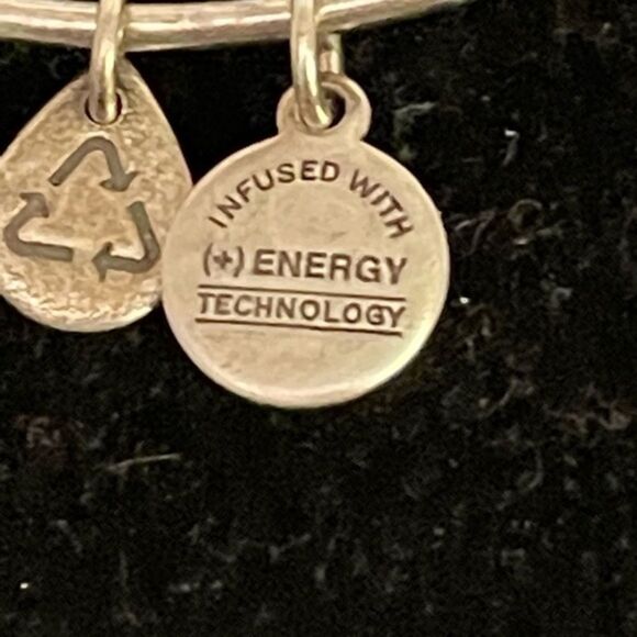 2014 Alex & Ani “Path of Life” pull chain silver tone charm bracelet - Picture 3 of 10